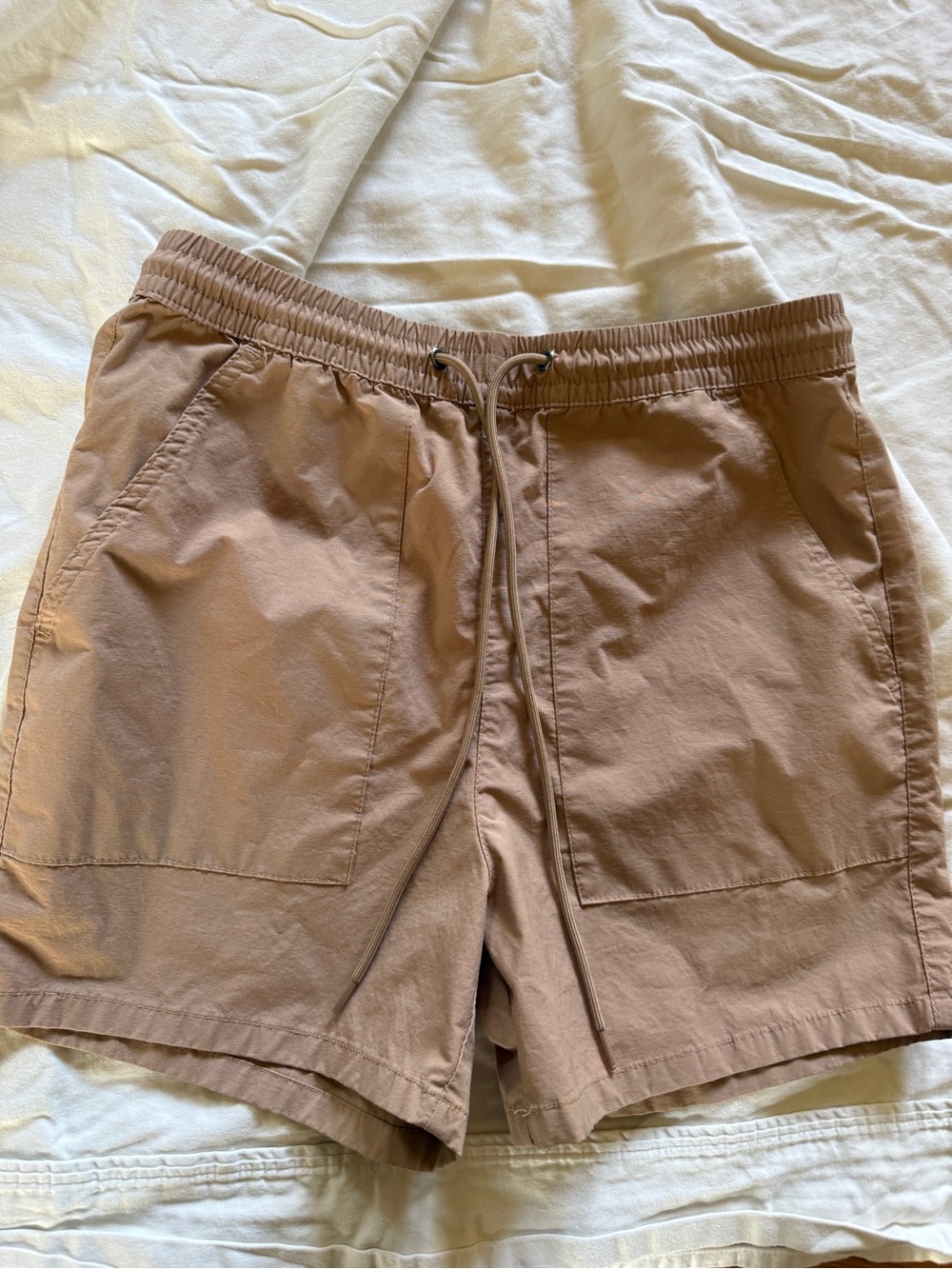 Men's Pacsun Volley  Drawstring Shorts 4 inch - Taupe